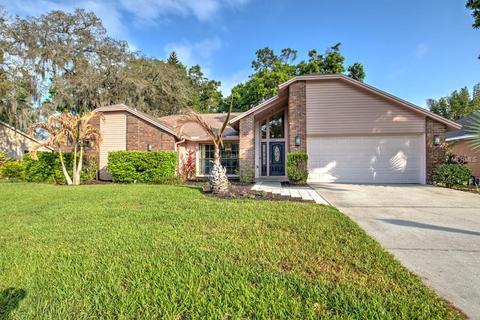 2332 Eagle Bluff Dr, Valrico, FL 33596 photo 1