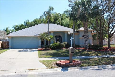 10222 Tarragon Dr, Riverview, FL 33569 photo 1