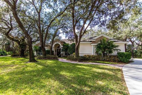 15003 Eaglepark Pl, Lithia, FL 33547 photo 1