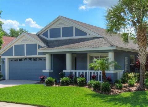6101 Gannetside Pl, Lithia, FL 33547 photo 1