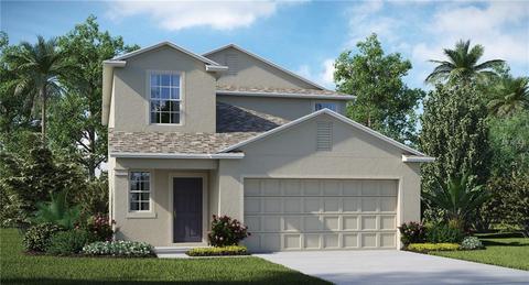 12763 Lemon Pepper Dr, Riverview, FL 33578 photo 1