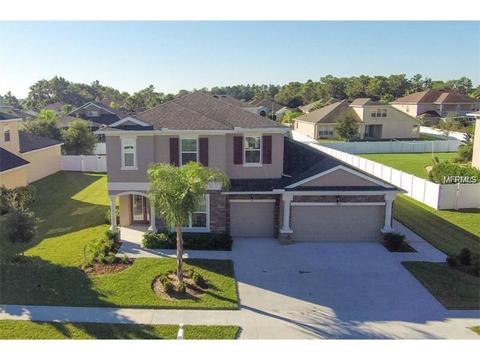 11854 Newberry Grove Loop, Riverview, FL 33579 photo 1