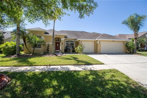 7236 Bucks Ford Dr, Riverview, FL 33578 photo 1