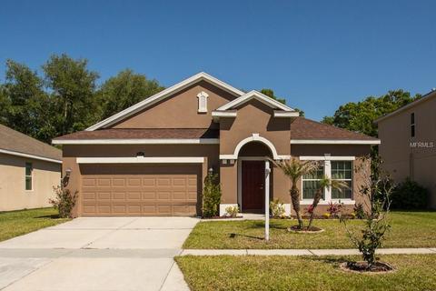 4121 Pacente Loop, Wesley Chapel, FL 33543 photo 1