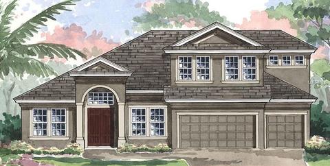 6212 Knob Tree Dr, Lithia, FL 33547 photo 1