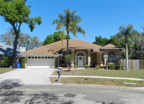 10416 Nightengale Dr, Riverview, FL 33569 photo 1