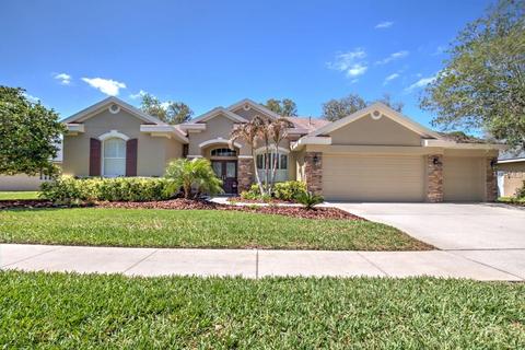 6123 Ibispark Dr, Lithia, FL 33547 photo 1