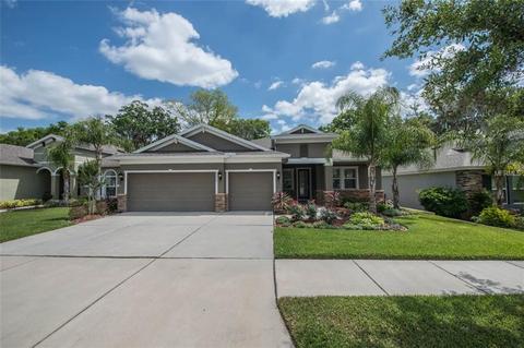 6622 Riverside Bluffs Dr, Riverview, FL 33578 photo 1