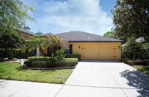1911 Abbey Trace Dr, Dover, FL 33527 photo 1