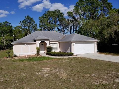 12003 Cavern Rd, Spring Hill, FL 34609 photo 1