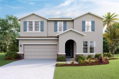 5012 Jackel Chase Dr, Wimauma, FL 33598 photo 1