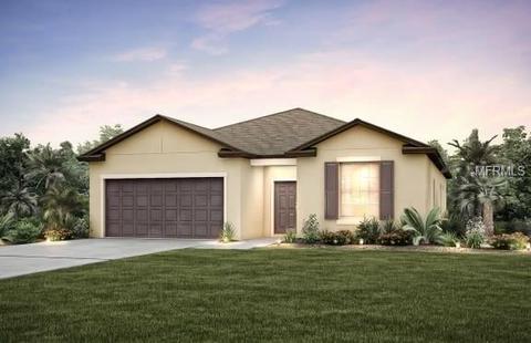 9117 Grant Ln, Riverview, FL 33578 photo 1