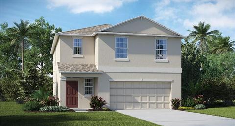 12765 Lemon Pepper Dr, Riverview, FL 33578 photo 1