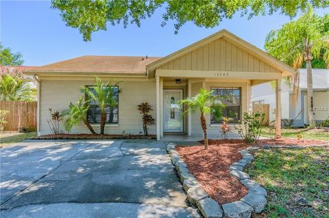 13342 Laraway Dr, Riverview, FL 33579 photo 1
