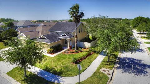 10236 Avelar Ridge Dr, Riverview, FL 33578 photo 1