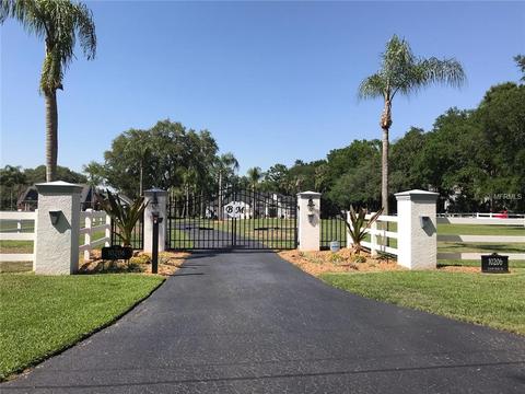 10206 Elbow Bend Rd, Riverview, FL 33578 photo 1