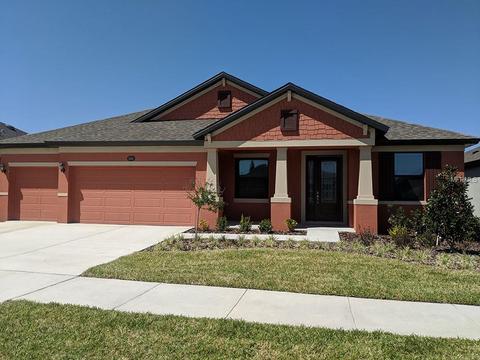 11618 Iris Spring Ct, Riverview, FL 33579 photo 1