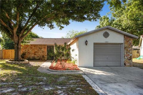 11303 Silverleaf Ct, Riverview, FL 33579 photo 1