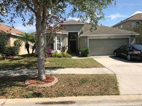 12814 Hampton Hill Dr, Riverview, FL 33578 photo 1