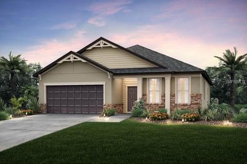 5236 Fallen Leaf Dr, Riverview, FL 33578 photo 1