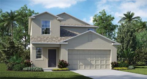 12719 Hampton Hill Dr, Riverview, FL 33578 photo 1