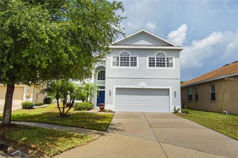 11006 Silver Dancer Dr, Riverview, FL 33579 photo 1