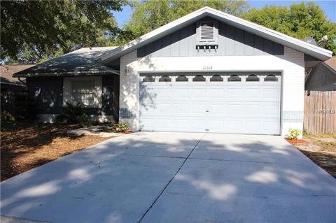 11314 Blackbark Dr, Riverview, FL 33579 photo 1