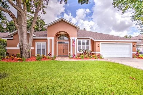 2334 Eagle Bluff Dr, Valrico, FL 33596 photo 1