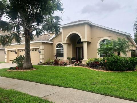 11436 Dutch Iris Dr, Riverview, FL 33578 photo 1