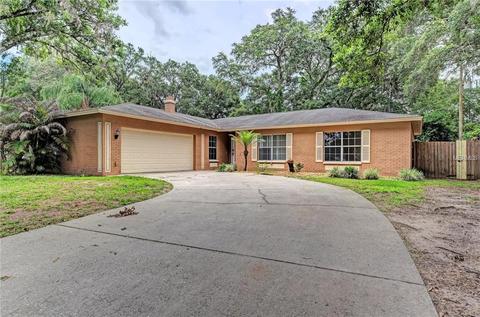 910 Tangelo Pl, Brandon, FL 33510 photo 1