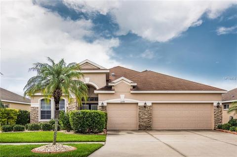 10909 Australian Pine Dr, Riverview, FL 33579 photo 1