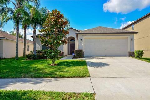 10931 Whitecap Dr, Riverview, FL 33579 photo 1