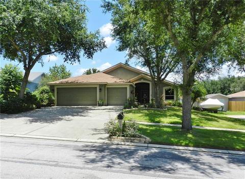 10307 Sedgebrook Dr, Riverview, FL 33569 photo 1