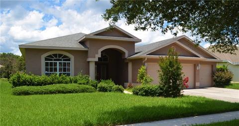 1406 Rowantree Dr, Dover, FL 33527 photo 1
