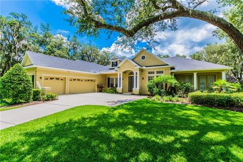 5802 Terncrest Dr, Lithia, FL 33547 photo 1