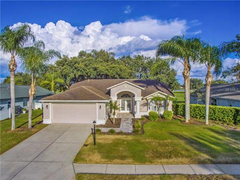 1330 Laurel Green Ct, Trinity, FL 34655 photo 1