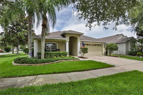 12214 Adventure Dr, Riverview, FL 33579 photo 1