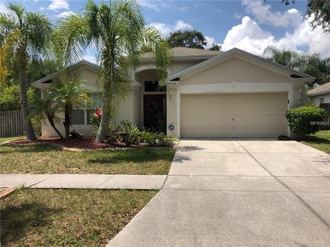10302 Soaring Eagle Dr, Riverview, FL 33578 photo 1