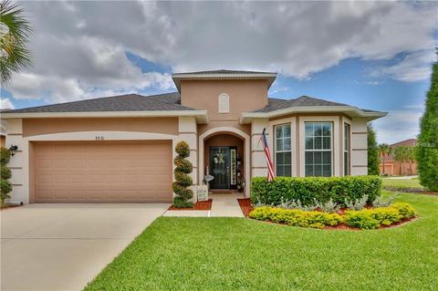 8830 Deep Maple Dr, Riverview, FL 33578 photo 1