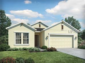 10529 Alcon Blue Dr, Riverview, FL 33578 photo 1