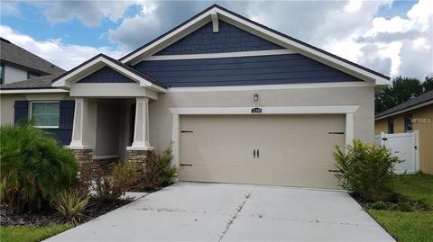 12368 Streambed Dr, Riverview, FL 33579 photo 1