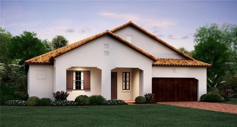 16818 Banner Shell Pl, Wimauma, FL 33598 photo 1