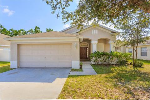 13310 Evening Sunset Ln, Riverview, FL 33579 photo 1