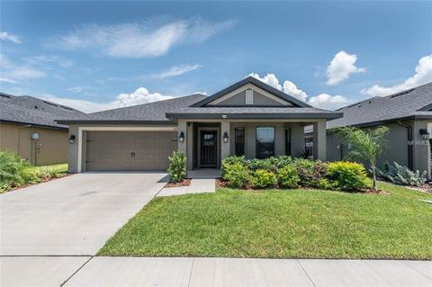 12230 Legacy Bright St, Riverview, FL 33578 photo 1