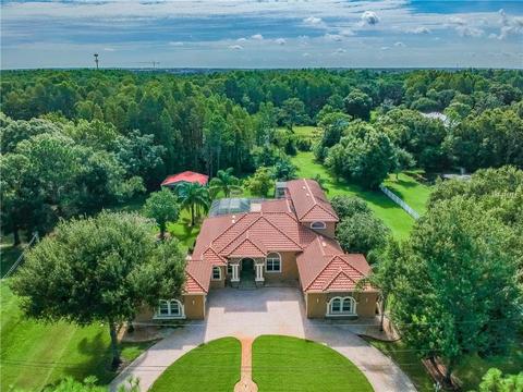17521 Marsh Rd, Lutz, FL 33558 photo 1