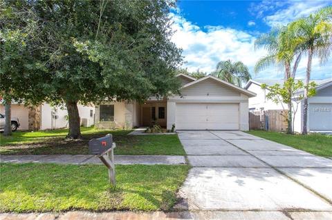 11318 Silverleaf Ct, Riverview, FL 33579 photo 1