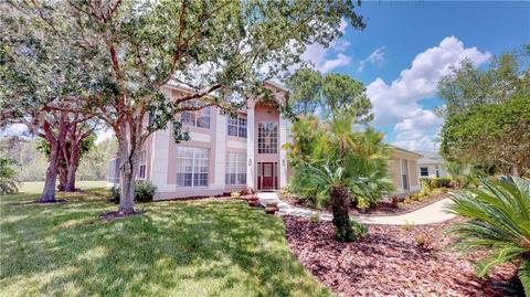 18202 Bittern Ave, Lutz, FL 33558 photo 1