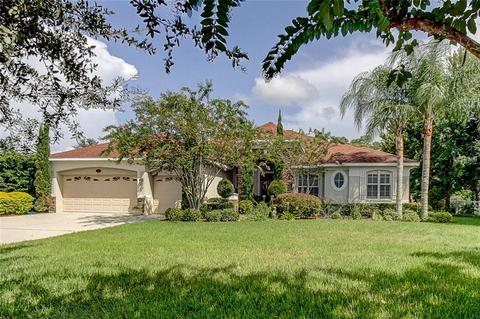 5428 Clouds Peak Dr, Lutz, FL 33558 photo 1