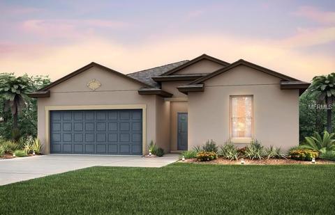 11692 Brighton Knoll Loop, Riverview, FL 33579 photo 1