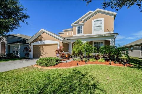 12332 Cedarfield Dr, Riverview, FL 33579 photo 1